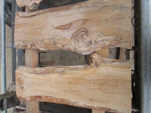 Buchenholz buche deko - 5,